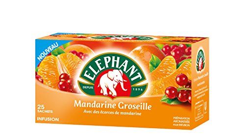 Lipton elephant mandarine groseille 25 sachets